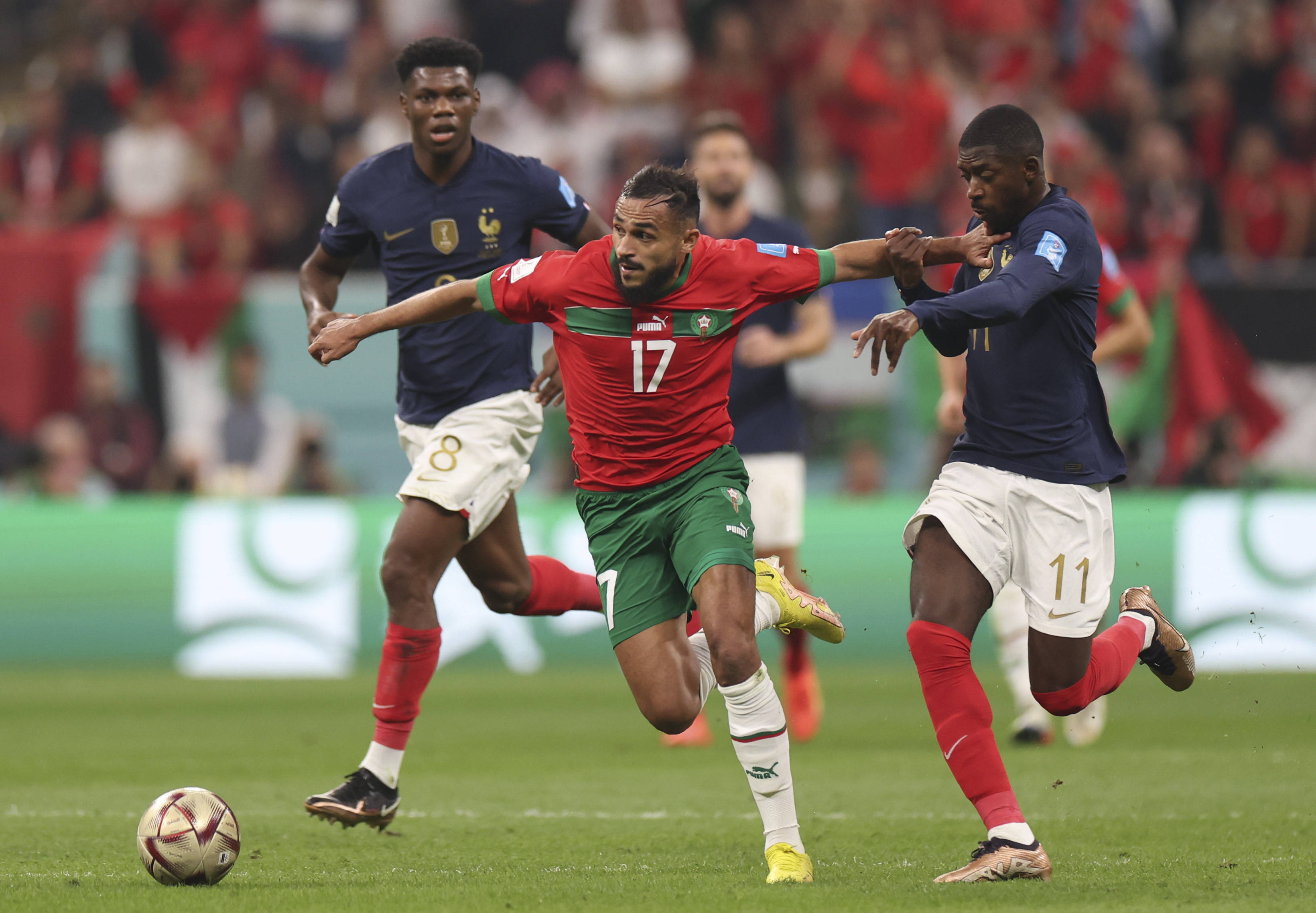 对于主教练 对于主教练