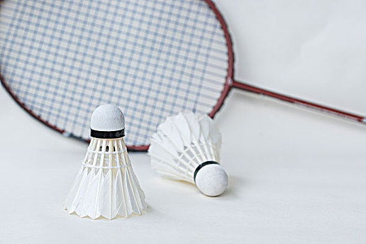 看到了足球 看到了足球